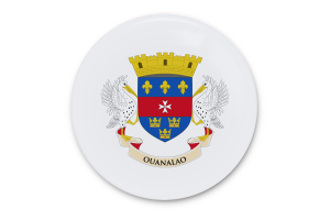 Saint Barthélemy Flag Vector Art flag