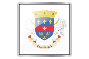 Saint Barthélemy Flag Square icon flag