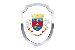 Saint Barthélemy Shield Logo flag