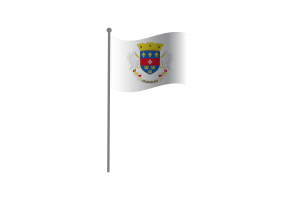 Waving Flag of Saint Barthélemy flag
