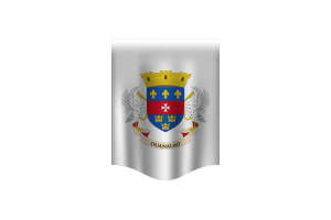 Saint Barthélemy Flag Banner flag