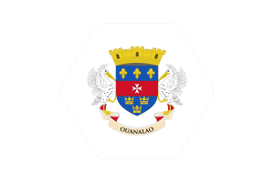 Saint Barthélemy Flag Vector Free | SVG and PNG flag