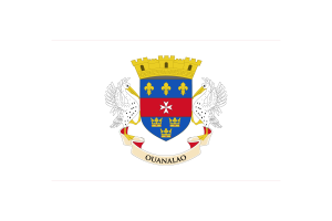 Saint Barthélemy Flag Vector Illustration flag