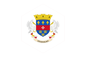 Saint Barthélemy Flag Hexagon Shape flag