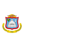 Emblem of Saint Martin flag