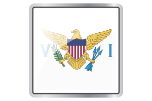 US Virgin Islands Flag Square icon flag