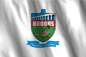 National Flag of Brooks flag