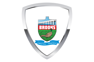 Brooks Shield Flag flag