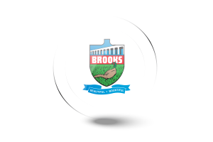 Brooks Flag Glossy Round Button flag