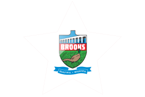 Brooks Flag Star Icon flag