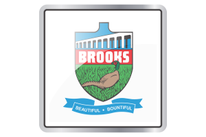 Brooks Flag Square icon flag