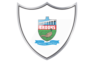 Shield with Flag of Brooks flag