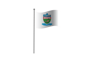 Waving Flag of Brooks flag