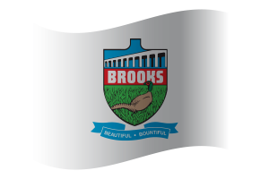 Brooks Flag flag