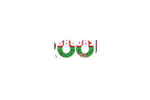 Brooks Text Art flag
