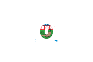 Brooks Area Codes flag