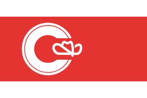 Flag of Calgary flag