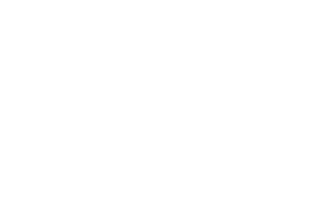 Emblem of Calgary flag