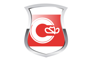 Calgary Pride Flag flag