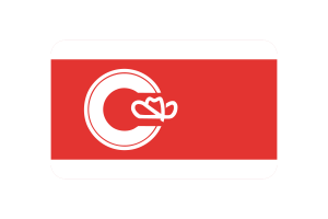 Calgary Flag Triangle Vector Illustration flag