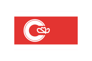 Calgary Flag Vector Illustration flag
