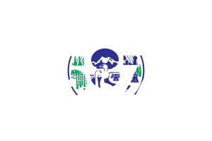 Grande Prairie Area Codes flag