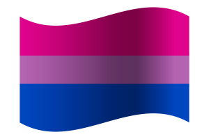 Bisexual Flag flag