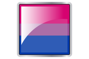 Bisexual Flag Square icon flag
