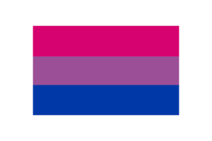 Bisexual Flag Vector Illustration flag