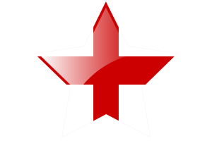 England Flag Star Icon flag
