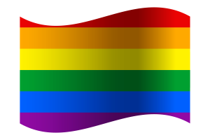 Gay pride Flag flag