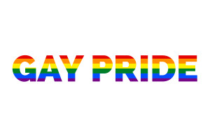 Gay pride Text Art flag