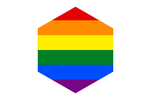 Gay pride Flag Hexagon Shape flag