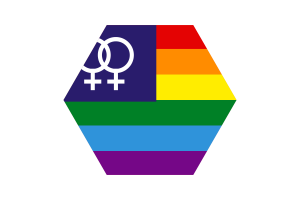 Lesbian Pride Flag Triangle Rounded Shape flag