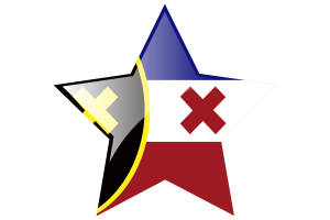 L'Manberg Flag Star Icon flag