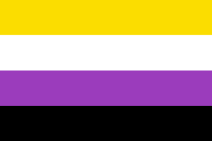 Flag of Non-Binary flag