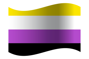 Non-Binary Flag flag