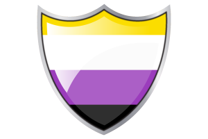 Shield with Flag of Non-Binary flag