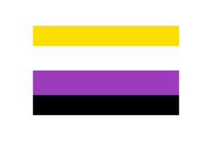 Non-Binary Flag Vector Illustration flag