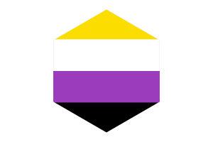 Non-Binary Flag Hexagon Shape flag