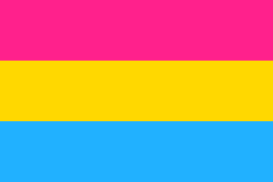 Flagge der Pansexualität flag