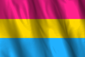 Nationalflagge der Pansexualität flag
