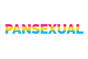 Textkunst der Pansexualität flag