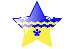 Prince George Flag Star Icon flag