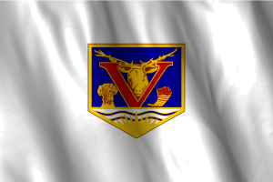 National Flag of Vernon flag