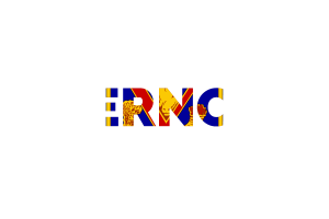 Vernon Text Art flag