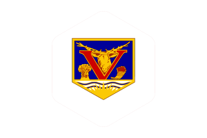 Vernon Flag Rounded Hexagon Shape flag