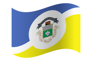 Winnipeg Flag flag