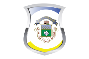 Winnipeg Pride Flag flag