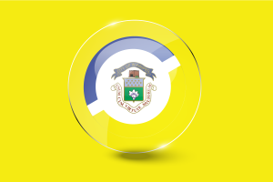 Winnipeg Flag Glossy Round Button flag